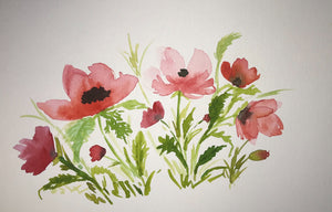 Poppies in the Field
